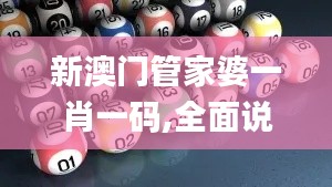 新澳门管家婆一肖一码,全面说明解析_WP9.627