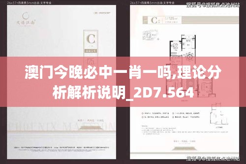 澳门今晚必中一肖一吗,理论分析解析说明_2D7.564