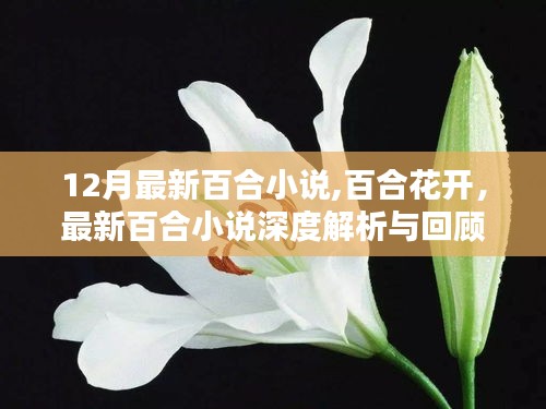 最新百合小说深度解析与回顾，百合花开，12月精彩回顾