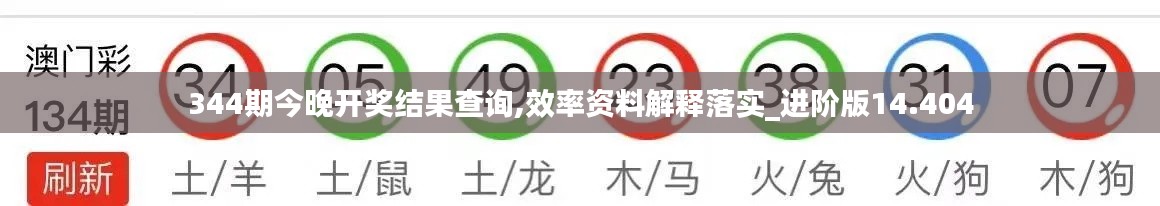 344期今晚开奖结果查询,效率资料解释落实_进阶版14.404