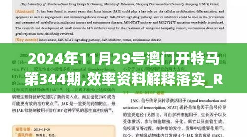 2024年11月29号澳门开特马第344期,效率资料解释落实_RX版4.215