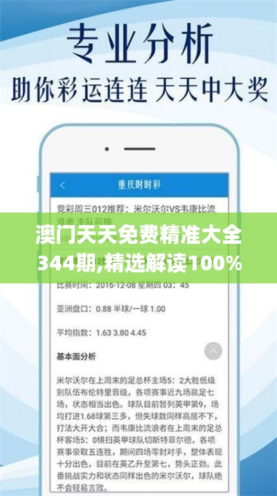 澳门天天免费精准大全344期,精选解读100%精准_交互版2.694