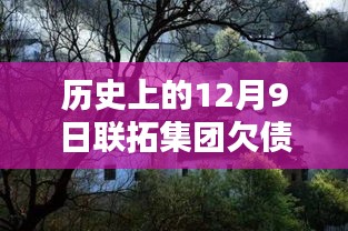 历史上的12月9日联拓集团欠债最新消息,探秘小巷深处的宝藏，联拓集团欠债风波下的隐藏特色小店