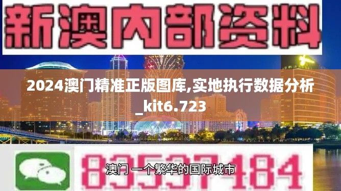 2024澳门精准正版图库,实地执行数据分析_kit6.723