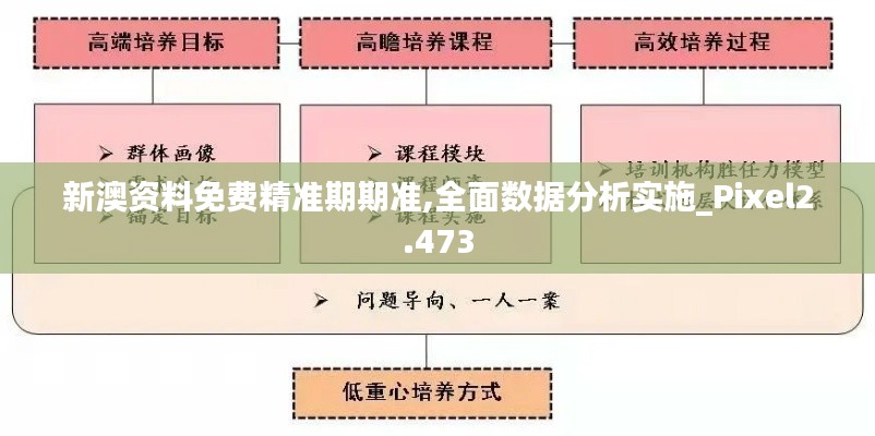 新澳资料免费精准期期准,全面数据分析实施_Pixel2.473