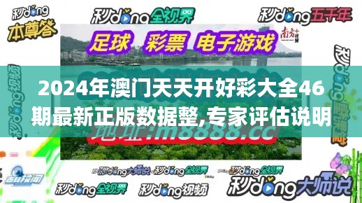 2024年澳门天天开好彩大全46期最新正版数据整,专家评估说明_进阶款9.554