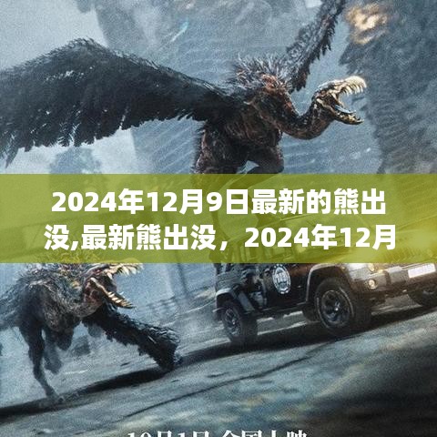 深度解析，最新熊出没探险之旅 2024年12月9日独家揭秘