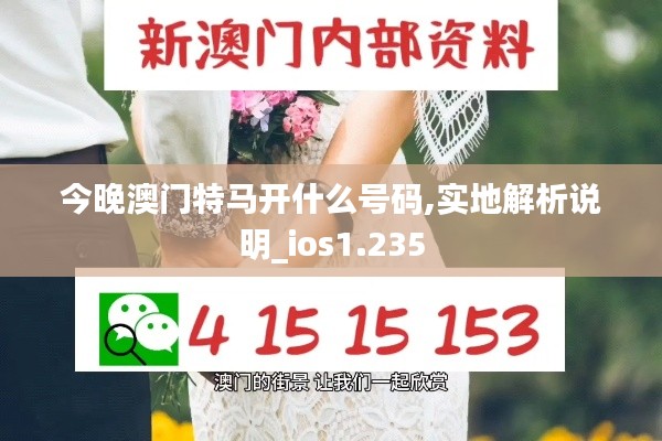 今晚澳门特马开什么号码,实地解析说明_ios1.235