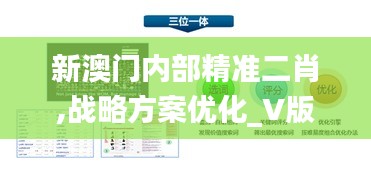 新澳门内部精准二肖,战略方案优化_V版7.932