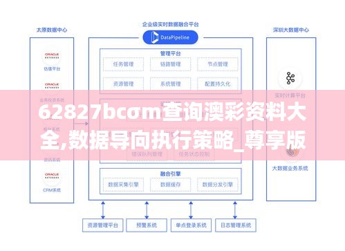 62827bcσm查询澳彩资料大全,数据导向执行策略_尊享版6.795