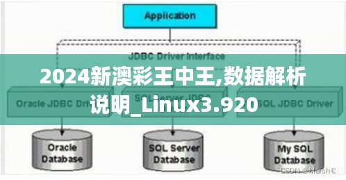 2024新澳彩王中王,数据解析说明_Linux3.920