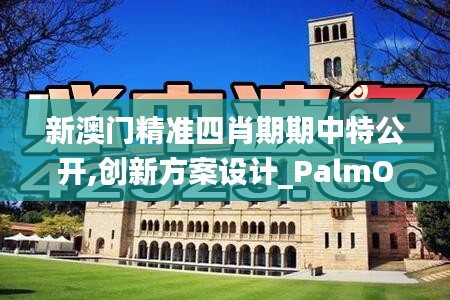 新澳门精准四肖期期中特公开,创新方案设计_PalmOS6.974