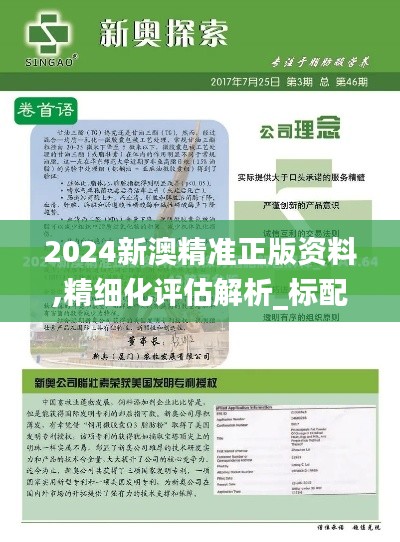 2024新澳精准正版资料,精细化评估解析_标配版10.736