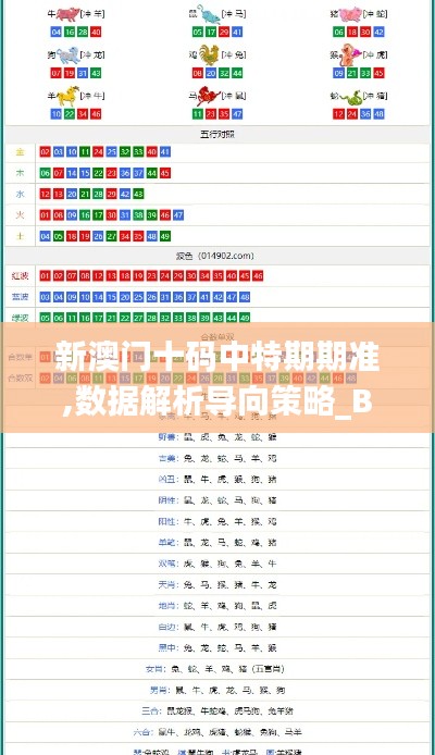 新澳门十码中特期期准,数据解析导向策略_BT13.540