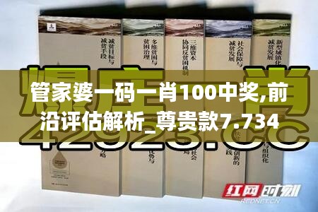 管家婆一码一肖100中奖,前沿评估解析_尊贵款7.734