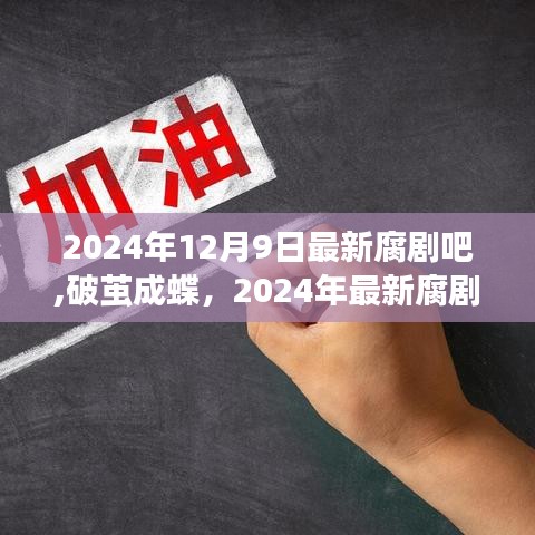 破茧成蝶，2024年最新腐剧引领学习变革，自信与成就感的飞跃之旅