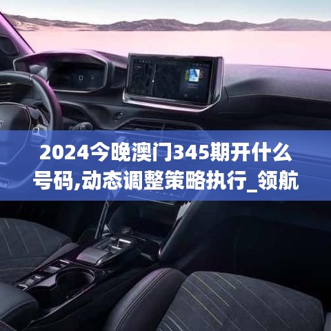 2024今晚澳门345期开什么号码,动态调整策略执行_领航款6.907