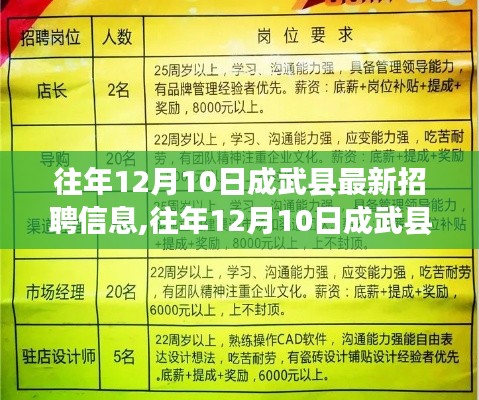 往年12月10日成武县最新招聘信息深度解析，特性体验、竞争分析与用户洞察报告