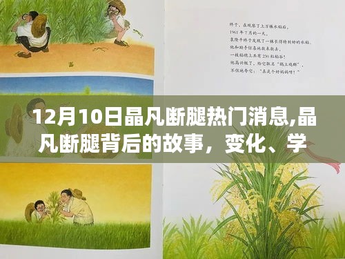 晶凡断腿背后的故事，变化、学习与自信的力量，热门消息揭秘