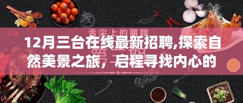 12月三台在线最新招聘，启程探索自然美景，寻找内心的宁静与和谐之旅