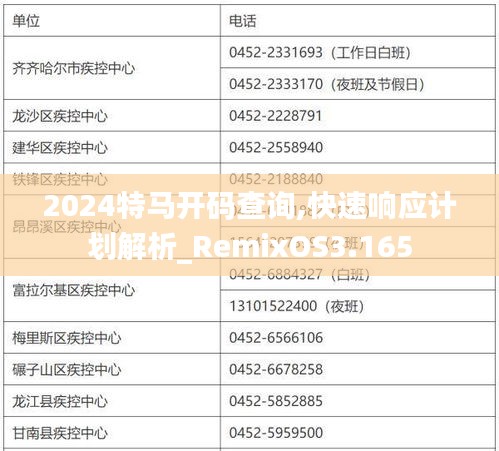 2024特马开码查询,快速响应计划解析_RemixOS3.165