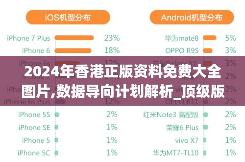 2024年香港正版资料免费大全图片,数据导向计划解析_顶级版7.710