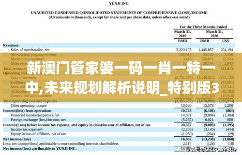 新澳门管家婆一码一肖一特一中,未来规划解析说明_特别版3.749