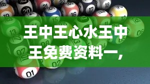 王中王心水王中王免费资料一,定性解析说明_专属款18.113