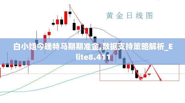 白小姐今晚特马期期准金,数据支持策略解析_Elite8.411