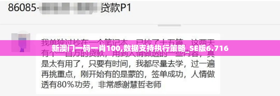 新澳门一码一肖100,数据支持执行策略_SE版6.716