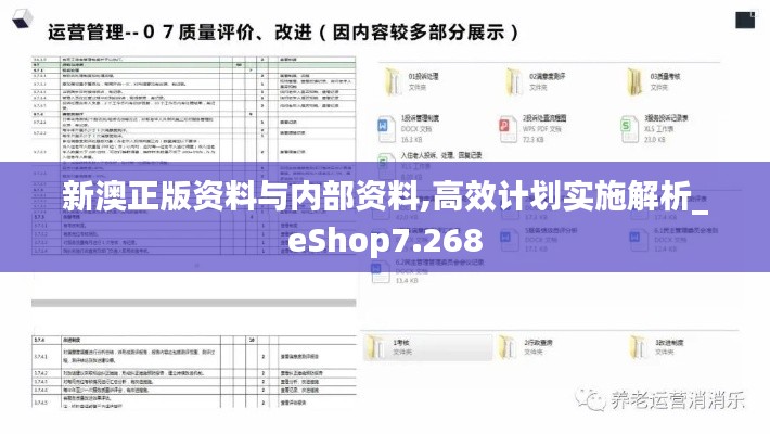 新澳正版资料与内部资料,高效计划实施解析_eShop7.268