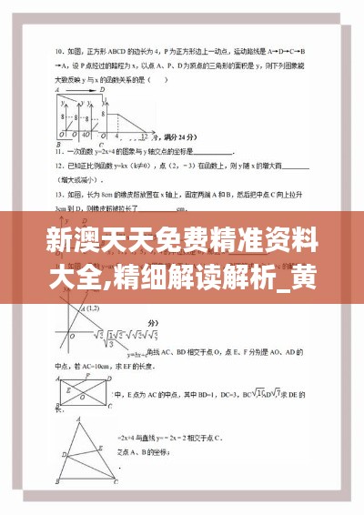 新澳天天免费精准资料大全,精细解读解析_黄金版12.532