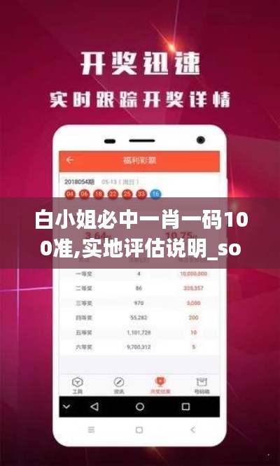 白小姐必中一肖一码100准,实地评估说明_soft1.107