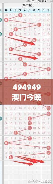 494949澳门今晚开什么454411,精细化说明解析_专属款10.690