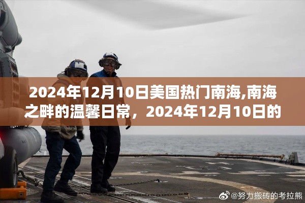 南海之畔的温馨日常与奇遇，美国热门南海的2024年12月10日