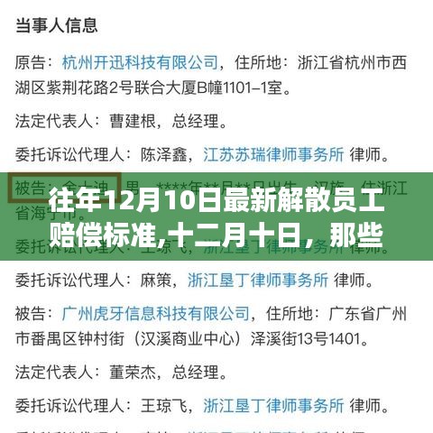 暖心故事与最新解散员工赔偿标准解读，十二月十日回顾与前瞻