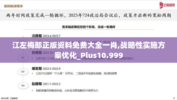 江左梅郎正版资料免费大全一肖,战略性实施方案优化_Plus10.999