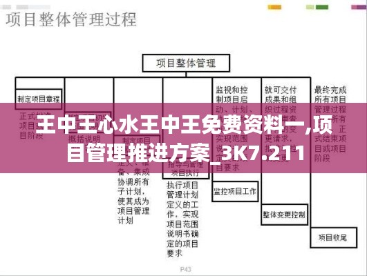 王中王心水王中王免费资料一,项目管理推进方案_3K7.211