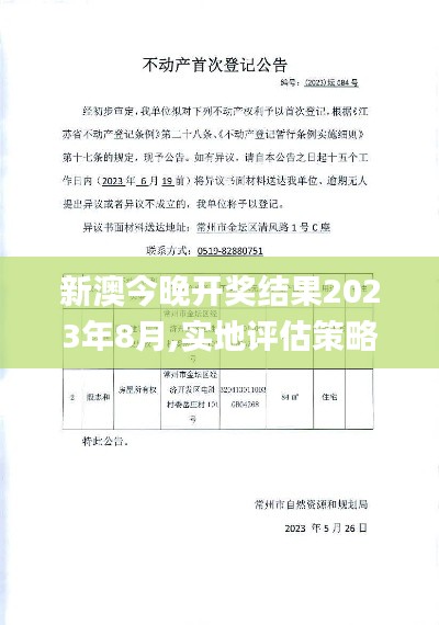 新澳今晚开奖结果2023年8月,实地评估策略_PalmOS1.584