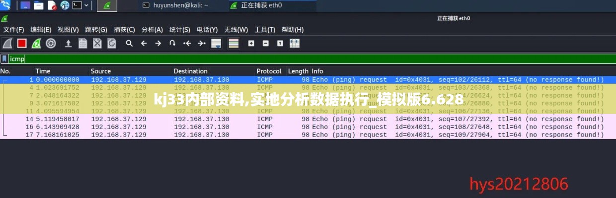 kj33内部资料,实地分析数据执行_模拟版6.628