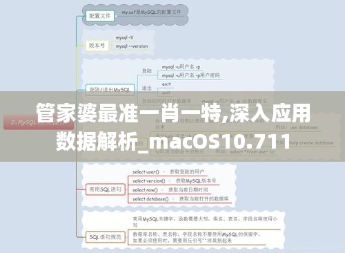 管家婆最准一肖一特,深入应用数据解析_macOS10.711