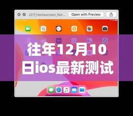 往年12月10日iOS最新测试版及其安装使用指南（适合初学者与进阶用户）