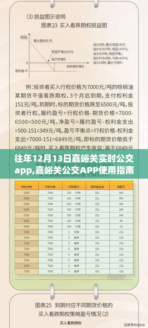 嘉峪关公交APP使用指南，历年12月13日数据详解，适合初学者与进阶用户