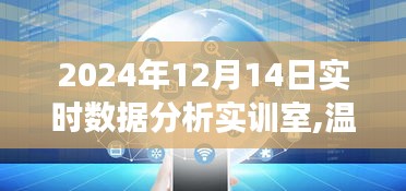 数据分析实训室里的快乐时光，温馨角落的实时数据探索（2024年12月14日）