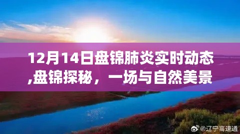 盘锦肺炎实时动态与冬日自然美景探秘，追寻内心的宁静与平和