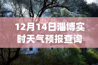 淄博探秘，小巷深处的天气驿站——实时天气预报查询之旅（12月14日）