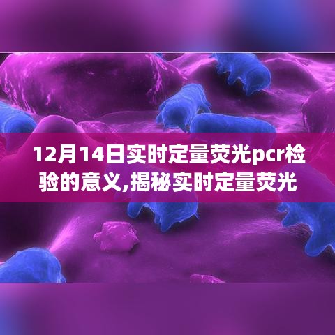 揭秘实时定量荧光PCR检验，在医学诊断中的科学意义与重要性（12月14日）