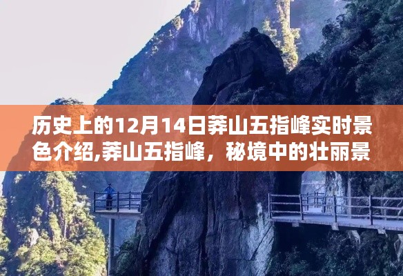 莽山五指峰，秘境壮丽与小巷风情的实时景色介绍