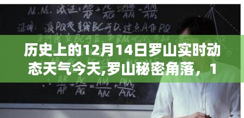 2024年12月15日 第15页