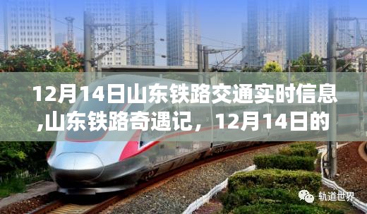 山东铁路奇遇记，12月14日的温馨旅程实时信息